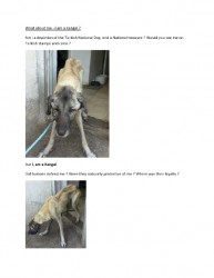 I am a Kangal-page0002.jpg