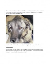 I am a Kangal-page0004.jpg