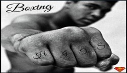 Boxing Hits.JPG