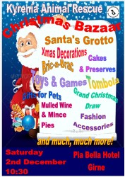 xmas bazaar poster 2017 (1).jpg