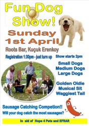 thumbnail_Fun Dog Show 2018.jpg