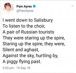 PAM AYRES.jpg