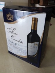2 New 3L bag in box wine from Chile 53tl equivalent to 13.25tl per bottle, single grape and not a blend.