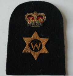 branch badge.JPG