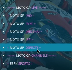 Moto GP Directs.JPG